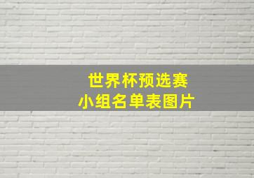 世界杯预选赛小组名单表图片