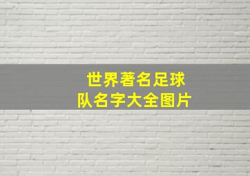 世界著名足球队名字大全图片