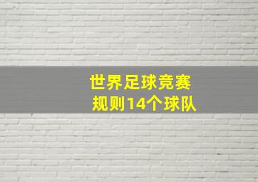 世界足球竞赛规则14个球队