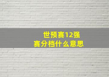 世预赛12强赛分档什么意思