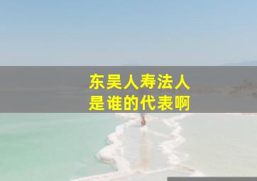 东吴人寿法人是谁的代表啊