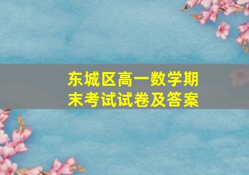 东城区高一数学期末考试试卷及答案