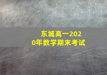 东城高一2020年数学期末考试