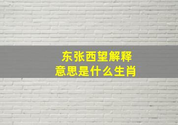 东张西望解释意思是什么生肖