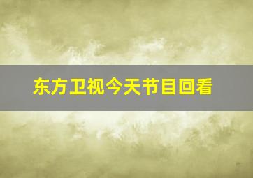 东方卫视今天节目回看