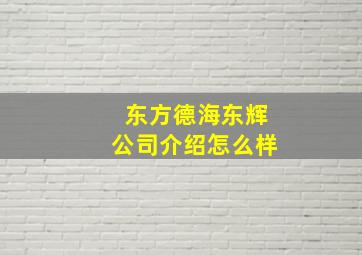 东方德海东辉公司介绍怎么样