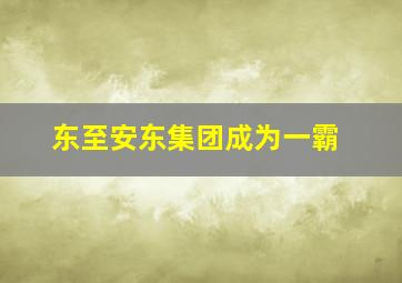 东至安东集团成为一霸