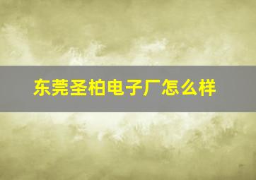 东莞圣柏电子厂怎么样