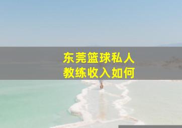 东莞篮球私人教练收入如何