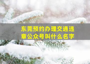 东莞预约办理交通违章公众号叫什么名字