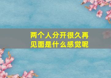 两个人分开很久再见面是什么感觉呢