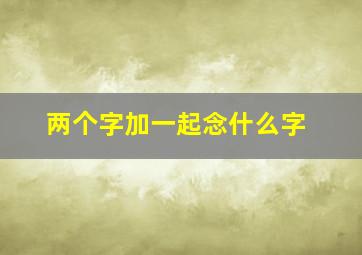 两个字加一起念什么字