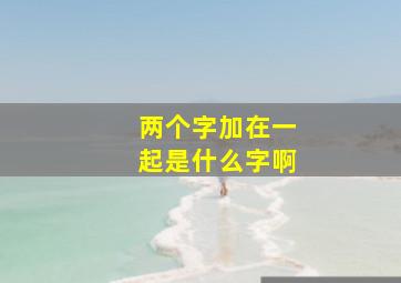 两个字加在一起是什么字啊