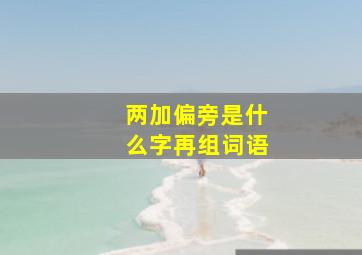 两加偏旁是什么字再组词语