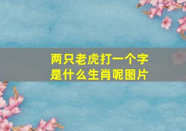 两只老虎打一个字是什么生肖呢图片