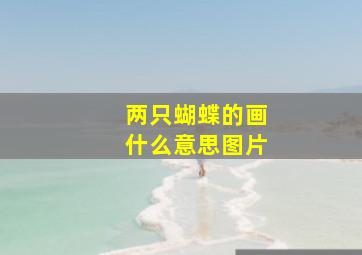 两只蝴蝶的画什么意思图片