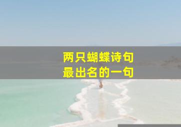 两只蝴蝶诗句最出名的一句