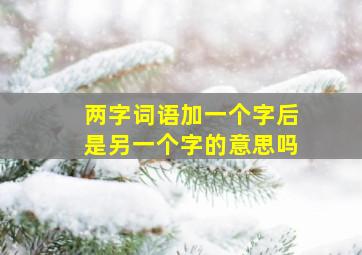 两字词语加一个字后是另一个字的意思吗