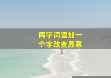 两字词语加一个字改变原意