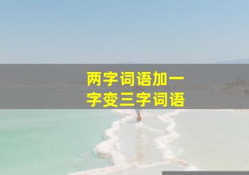 两字词语加一字变三字词语