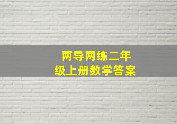 两导两练二年级上册数学答案