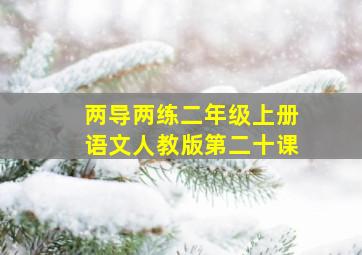 两导两练二年级上册语文人教版第二十课