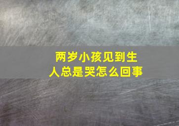 两岁小孩见到生人总是哭怎么回事