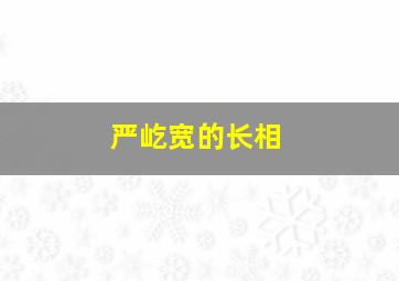 严屹宽的长相