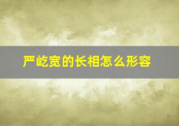 严屹宽的长相怎么形容