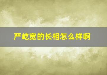 严屹宽的长相怎么样啊