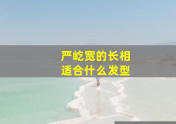 严屹宽的长相适合什么发型