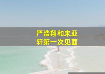 严浩翔和宋亚轩第一次见面