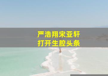 严浩翔宋亚轩打开生腔头条