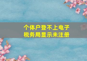 个体户登不上电子税务局显示未注册