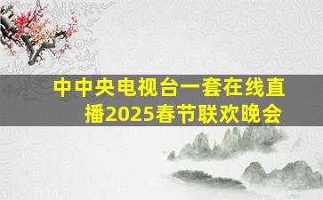 中中央电视台一套在线直播2025春节联欢晚会