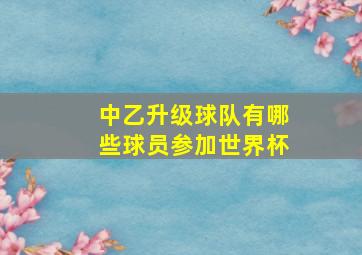 中乙升级球队有哪些球员参加世界杯