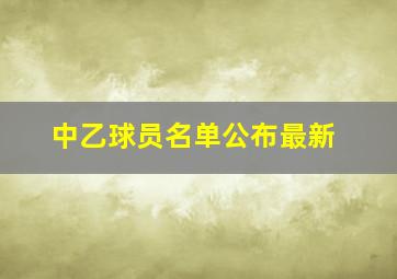 中乙球员名单公布最新