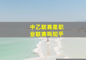 中乙联赛是职业联赛吗知乎