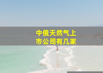 中俄天然气上市公司有几家