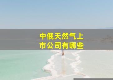 中俄天然气上市公司有哪些