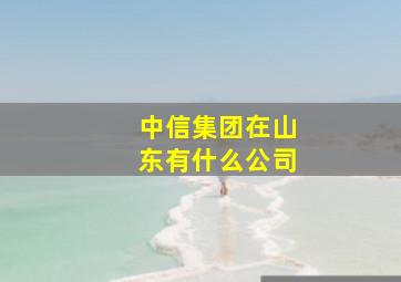 中信集团在山东有什么公司