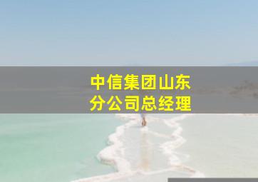 中信集团山东分公司总经理