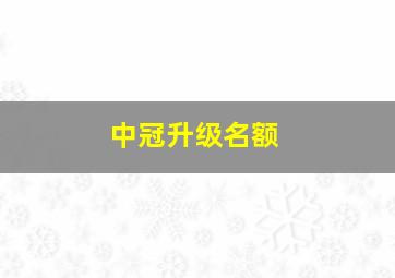 中冠升级名额