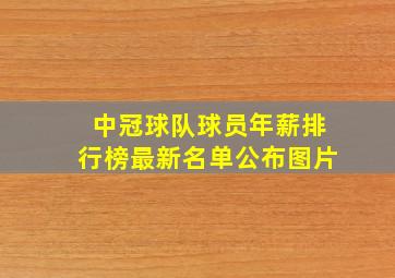 中冠球队球员年薪排行榜最新名单公布图片