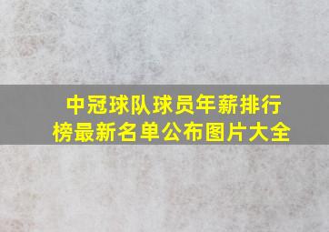 中冠球队球员年薪排行榜最新名单公布图片大全