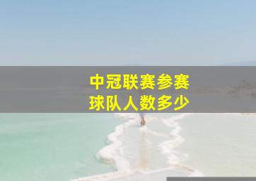 中冠联赛参赛球队人数多少