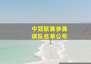 中冠联赛参赛球队名单公布