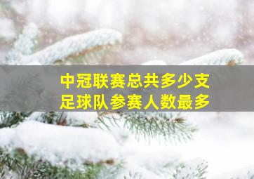 中冠联赛总共多少支足球队参赛人数最多