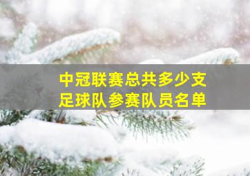 中冠联赛总共多少支足球队参赛队员名单