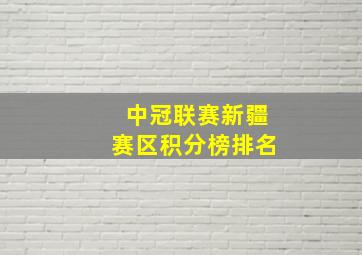 中冠联赛新疆赛区积分榜排名